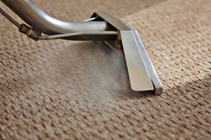 Carpet Cleaning, Rug Cleaning, Carpet Cleaning Service, Carpet Stain Service, Carpet Steam Service Carpet Cleaning, Rug Cleaning, Carpet Cleaning Service, Carpet Stain Service, Carpet Steam Service