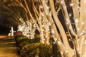 Christmas Light Installation, Holiday Lighting Install, Free Estimates Christmas Light Installation, Holiday Lighting Install, Free Estimates