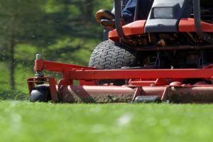 Lawn Mowing, Lawn Care, Mowing Company, Grass Cutting Lawn Mowing, Lawn Care, Mowing Company, Grass Cutting