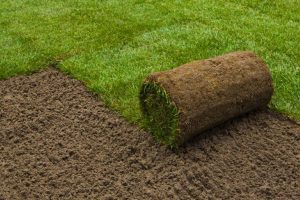 Sod Installation, Sod Installer, New Sod, Sod Company, Sod Contractor Sod Installation, Sod Installer, New Sod, Sod Company, Sod Contractor